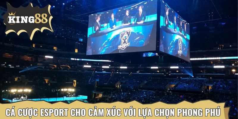 Cá cược Esport cho cảm xúc với lựa chọn phong phú