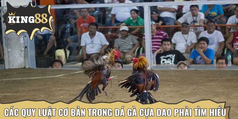 Các quy luật cơ bản trong đá gà cựa dao phải tìm hiểu