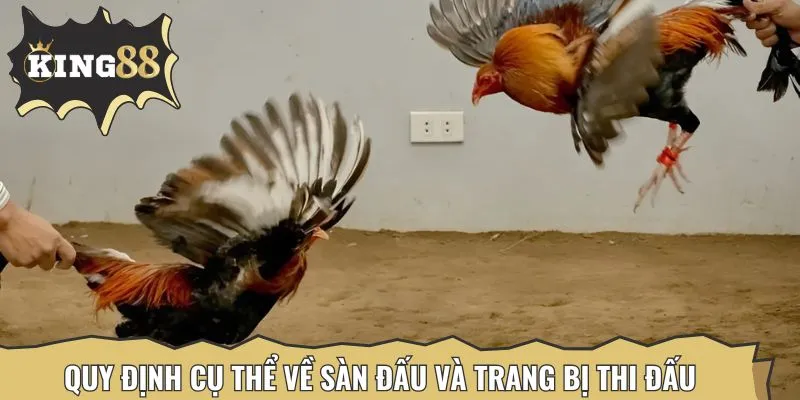 Các trận đá tuân thủ theo đúng quy chuẩn quốc tế