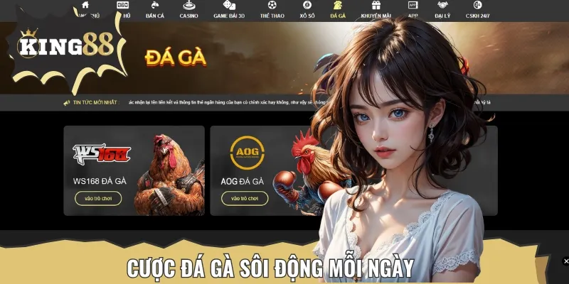 Tại đây, bạn sẽ được theo dõi livestream đá gà, cược trực tiếp siêu kịch tính