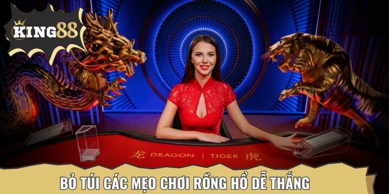 Bỏ túi các mẹo chơi Rồng Hổ dễ thắng từ chuyên gia