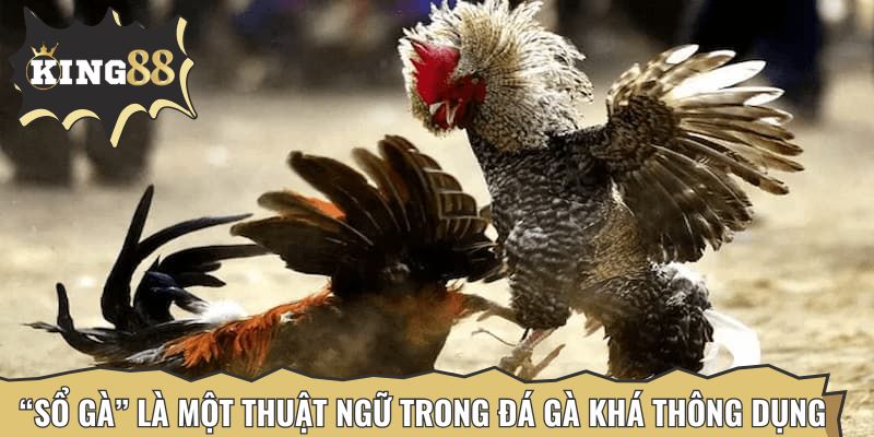 “Sổ gà” là một thuật ngữ trong đá gà khá thông dụng
