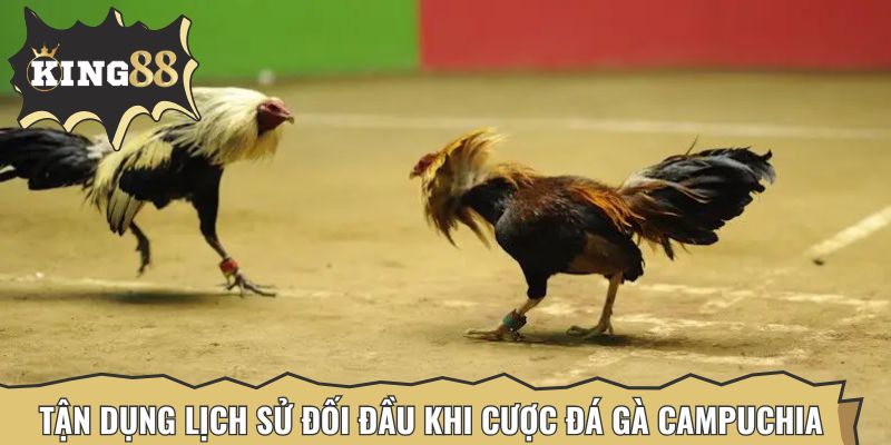 Tận dụng lịch sử đối đầu khi cược đá gà Campuchia